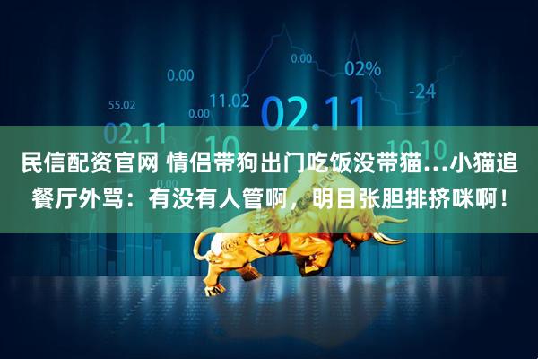 民信配资官网 情侣带狗出门吃饭没带猫…小猫追餐厅外骂：有没有人管啊，明目张胆排挤咪啊！